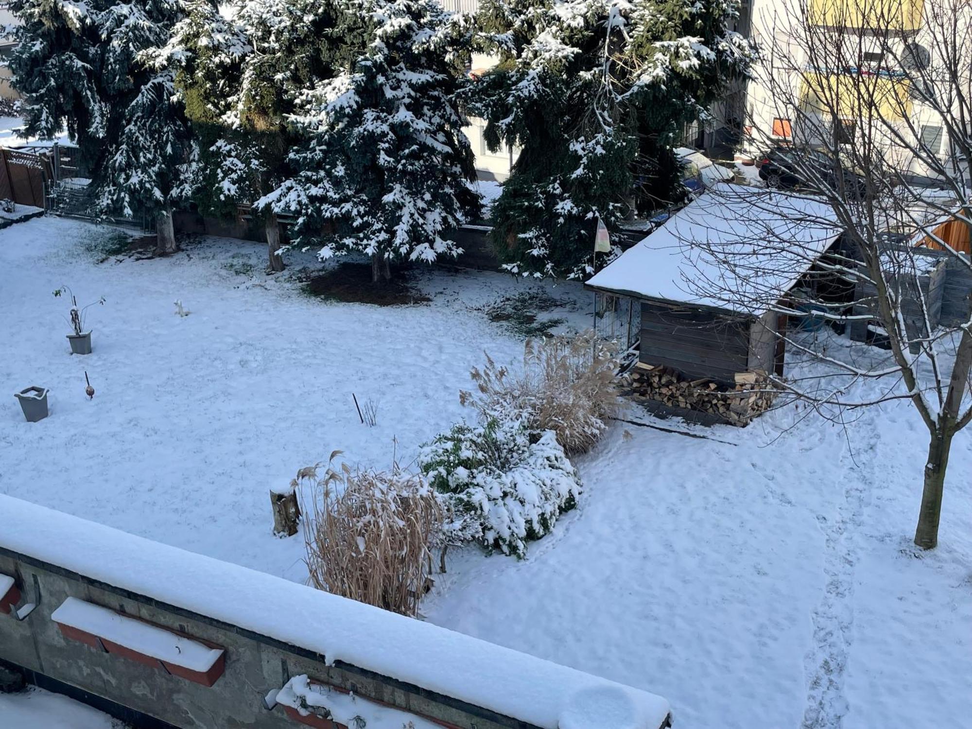 Ferienwohnung Dieblich An Der Mosel Exterior photo